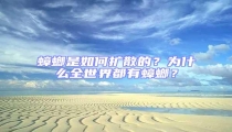 蟑螂是如何擴(kuò)散的？為什么全世界都有蟑螂？