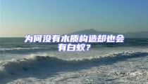 為何沒(méi)有木質(zhì)構(gòu)造卻也會(huì)有白蟻？