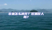 衣魚怎么消滅？衣魚咬人嗎？