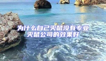為什么自己滅鼠沒(méi)有專業(yè)滅鼠公司的效果好