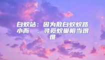 白蟻站：因為散白蟻蟻路小而骫骳，尋覓蟻巢相當艱難