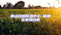 南山白蟻防治中心 信用社發現白蟻