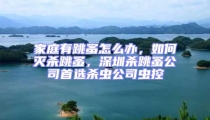 家庭有跳蚤怎么辦，如何滅殺跳蚤，深圳殺跳蚤公司首選殺蟲公司蟲控