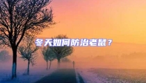 冬天如何防治老鼠？