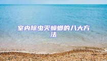 室內除蟲滅蟑螂的八大方法