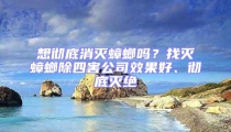 想徹底消滅蟑螂嗎？找滅蟑螂除四害公司效果好、徹底滅絕