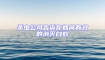 殺蟲公司告訴你如何有效的消滅白蟻