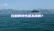 白蟻的特性是怎樣的？