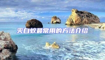 滅白蟻?zhàn)畛Ｓ玫姆椒ń榻B