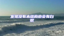 發(fā)現(xiàn)沒有木結構也會有白蟻