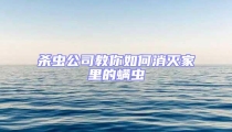 殺蟲公司教你如何消滅家里的螨蟲