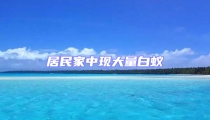 居民家中現大量白蟻