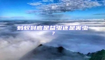 螞蟻到底是益蟲還是害蟲？