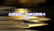 白蟻知識(shí)：白蟻丘的強(qiáng)大作用