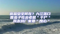 食品安全何在？九江落口香瓜子吃出老鼠＂干尸＂ 網友問廠家要＂良心＂