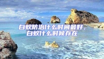 白蟻防治什么時間最好，白蟻什么時候存在