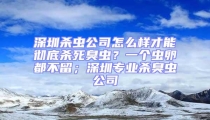 深圳殺蟲公司怎么樣才能徹底殺死臭蟲？一個蟲卵都不留；深圳專業殺臭蟲公司
