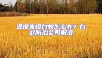 堤壩發(fā)現(xiàn)白蟻怎么辦？白蟻防治公司解說(shuō)