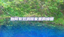 如何有效消除家里的蟑螂