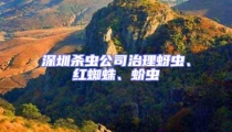 深圳殺蟲公司治理蚜蟲、紅蜘蛛、蚧蟲
