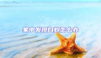 家中發(fā)現(xiàn)白蟻怎么辦