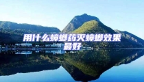 用什么蟑螂藥滅蟑螂效果最好