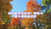 蜈蚣能有多彪悍！那些斗智斗勇的血淚史
