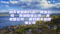 消滅老鼠的方法  除蟲公司  羅湖除蟲公司  殺老鼠公司  最好的專業除蟲公司