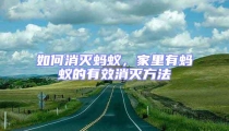 如何消滅螞蟻，家里有螞蟻的有效消滅方法