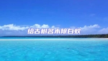 給古樹名木除白蟻