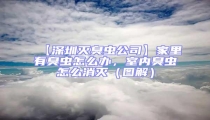 【深圳滅臭蟲公司】家里有臭蟲怎么辦，室內臭蟲怎么消滅（圖解）