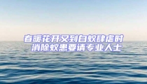 春暖花開又到白蟻肆虐時 消除蟻患要請專業人士