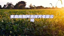家庭應(yīng)如何選擇滅老鼠公司