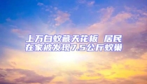 上萬白蟻藏天花板 居民在家被發(fā)現(xiàn)7.5公斤蟻巢