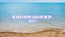 深圳白蟻防治白蟻來襲，當(dāng)心！