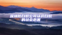 深圳防白蟻公司認識白蟻的社會危害