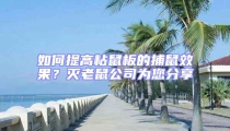 如何提高粘鼠板的捕鼠效果？滅老鼠公司為您分享