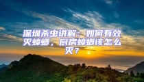 深圳殺蟲講解：如何有效滅蟑螂，廚房蟑螂該怎么滅？