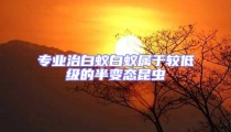 專業(yè)治白蟻白蟻屬于較低級(jí)的半變態(tài)昆蟲