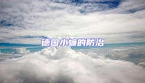 德國(guó)小蠊的防治