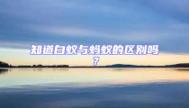 知道白蟻與螞蟻的區(qū)別嗎？