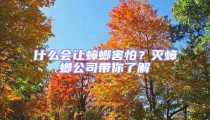 什么會讓蟑螂害怕？滅蟑螂公司帶你了解