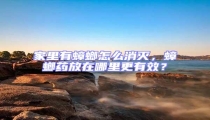 家里有蟑螂怎么消滅，蟑螂藥放在哪里更有效？