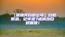 【深圳滅白蟻公司】白蟻防治，記牢這7點減少白蟻困擾！