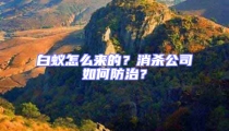 白蟻怎么來的？消殺公司如何防治？