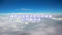 度假山莊蚊子怎么滅除蟲公司有辦法