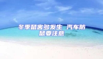 冬季鼠害多發生 汽車防鼠要注意