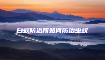 白蟻防治所如何防治蟲蟻