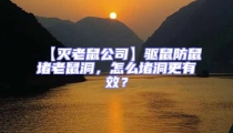 【滅老鼠公司】驅鼠防鼠堵老鼠洞，怎么堵洞更有效？
