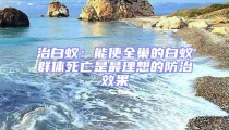 治白蟻：能使全巢的白蟻群體死亡是最理想的防治效果